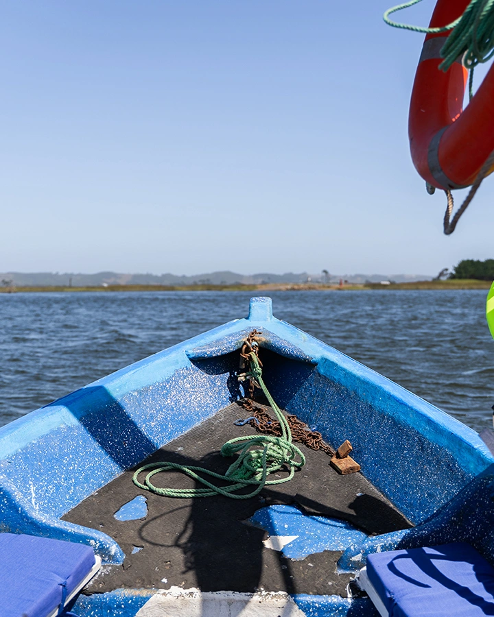 NOSOTROS CARRUSEL_0001__AIT2280